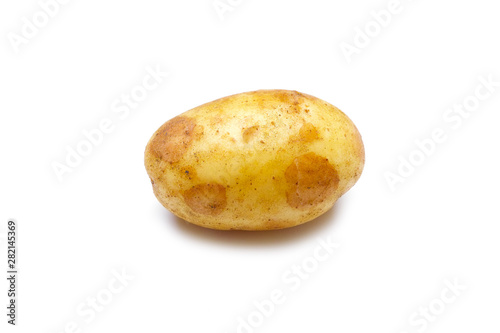 Young potato isolated