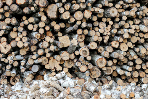 Sawn logs of birch forestry.  Woodpile  firewood.  View from the end of the logs.