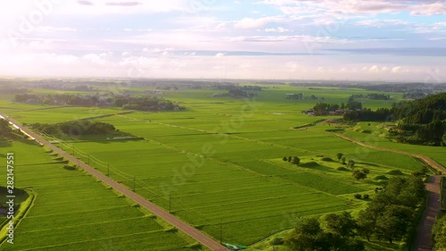 Aerial view of green rice field in Niigata, Japan photo