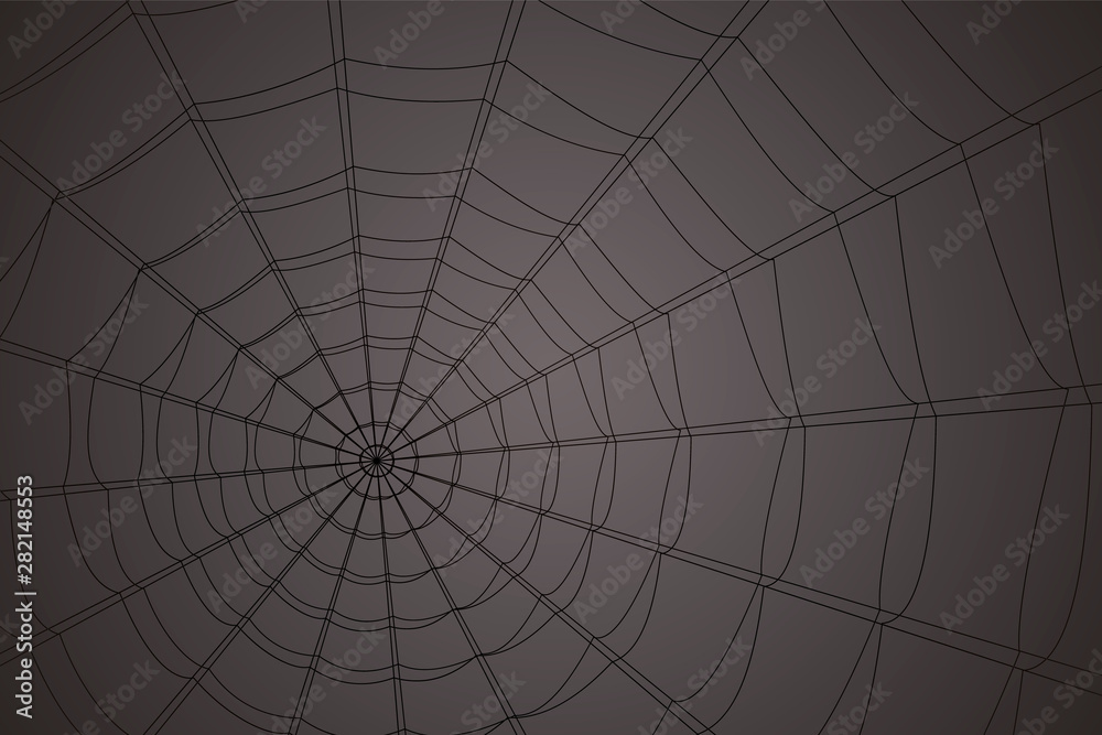 Obraz premium concentric white web on a gray background
