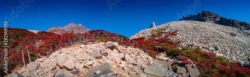 Panoramic view of Torres del Paine National Park, its forests and summits at golden Autumn and blue sky, Patagonia, Chile