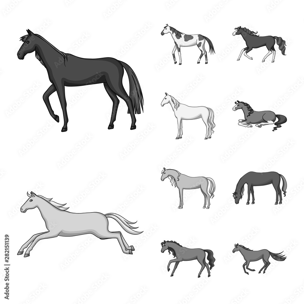 Vector design of farm and riding sign. Collection of farm and equestrian stock vector illustration.