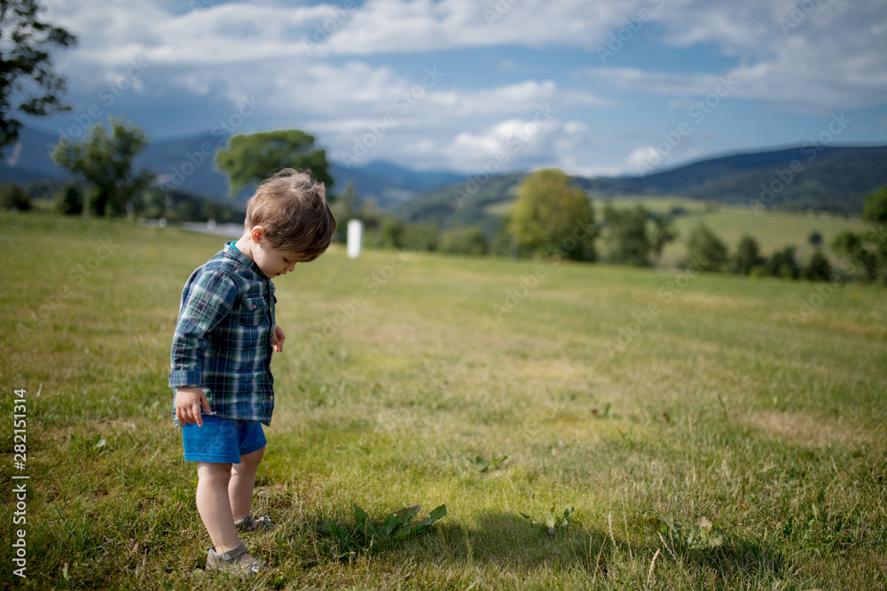 toddler boy stay on a meadow in a Mountains