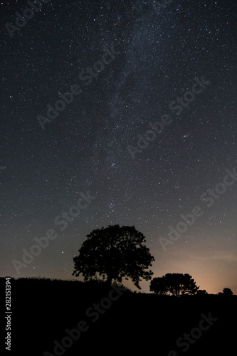 Starry sky over fields with tree silhouette in Cornwall, UK