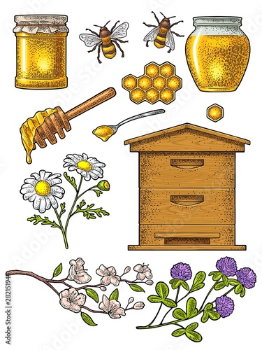 Honey set. Vector vintage color engraving isolated on white