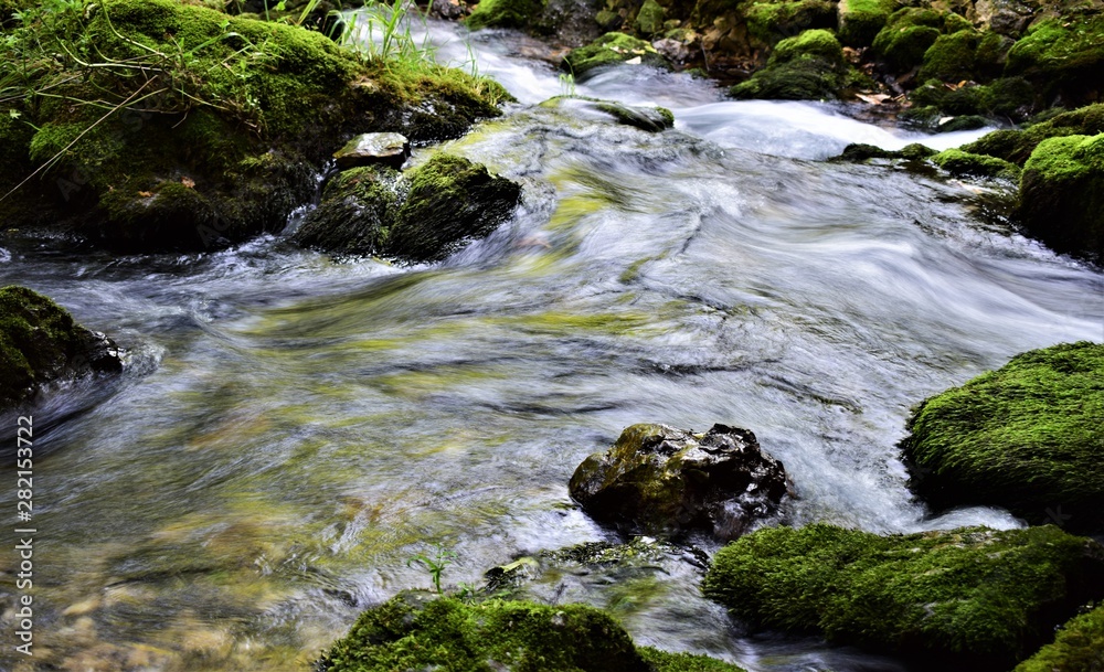 mountain stream in the forest mountain stream in the forest