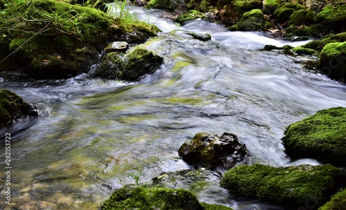 mountain stream in the forest