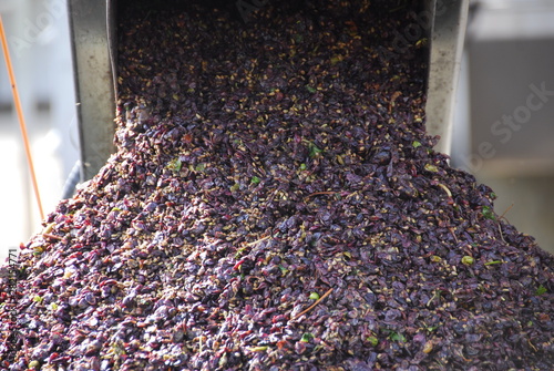 Marc de raisin