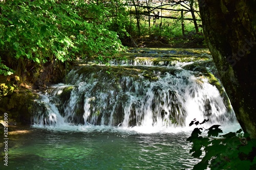 waterfall in the forest