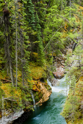 Along maligne canyon trees, rock and water