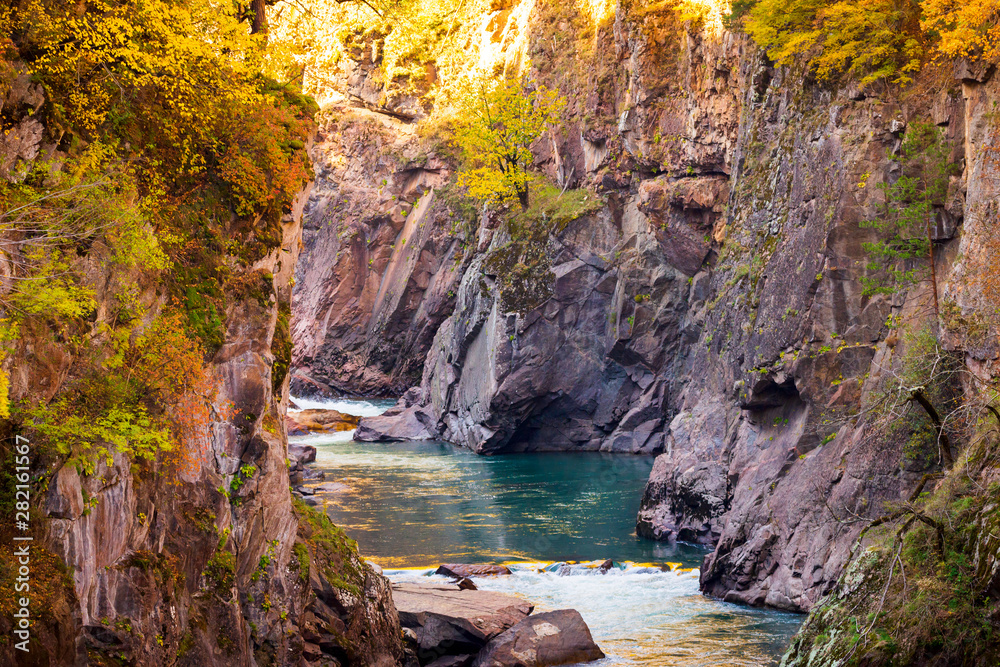 Obraz premium Fall landscape with mountain river and forest