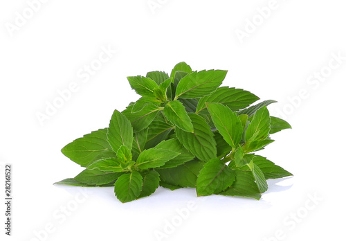 spearmint leaf herb isolated on white background
