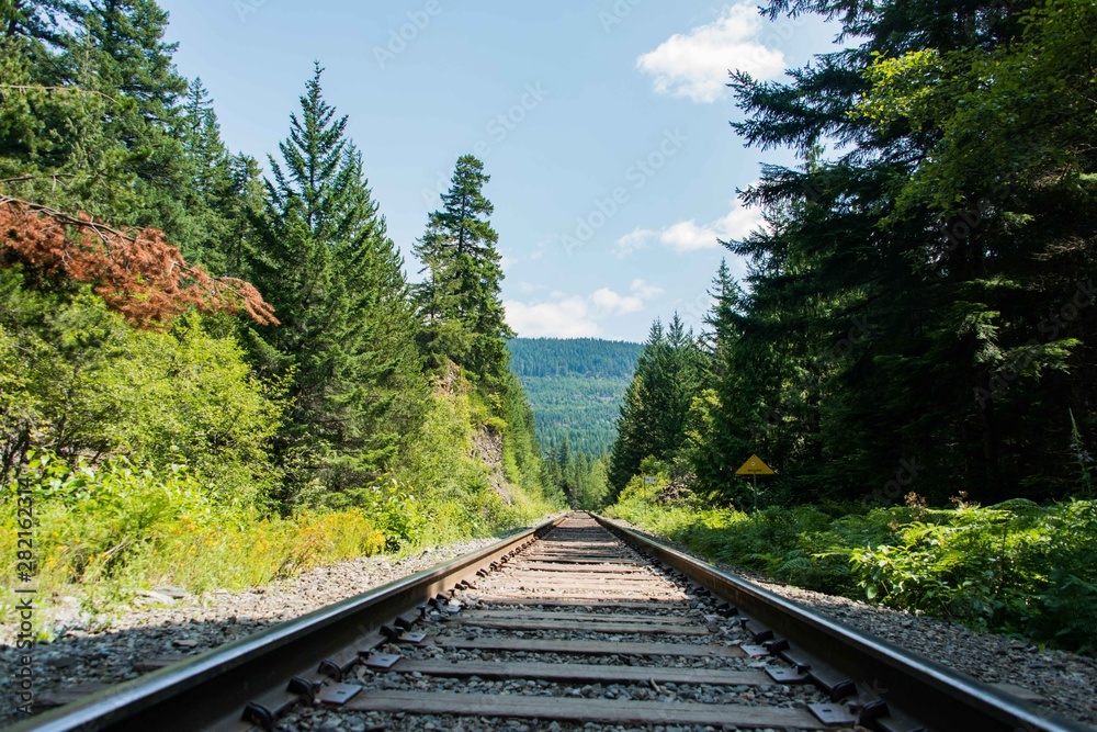 Fototapeta premium Train tracks 