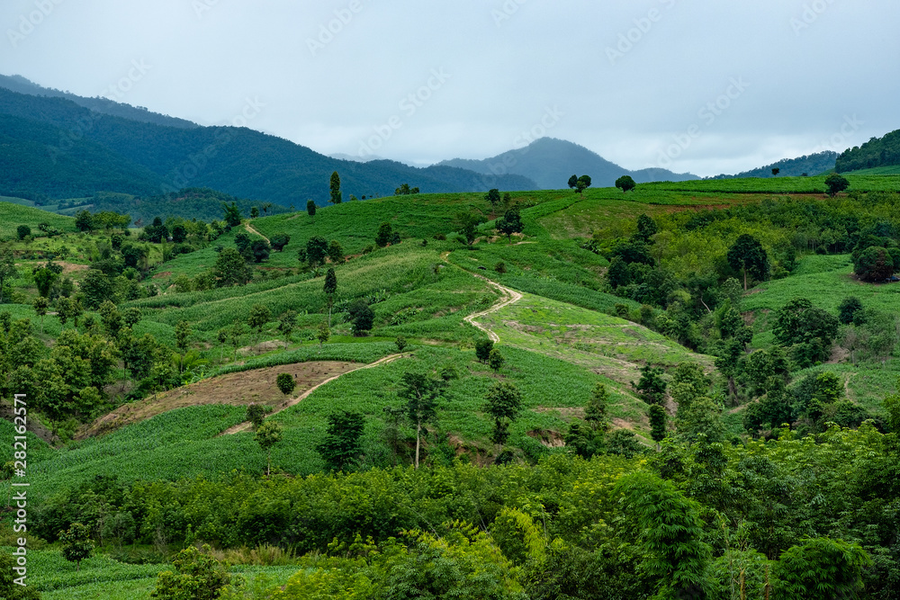 Fototapeta premium Rice paddy in Longsheng Beautiful landscape view of rice terraces Rice fields