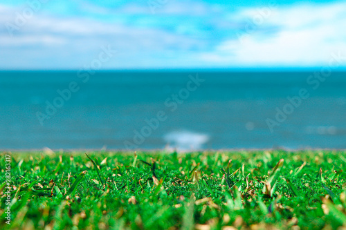 grass and sky