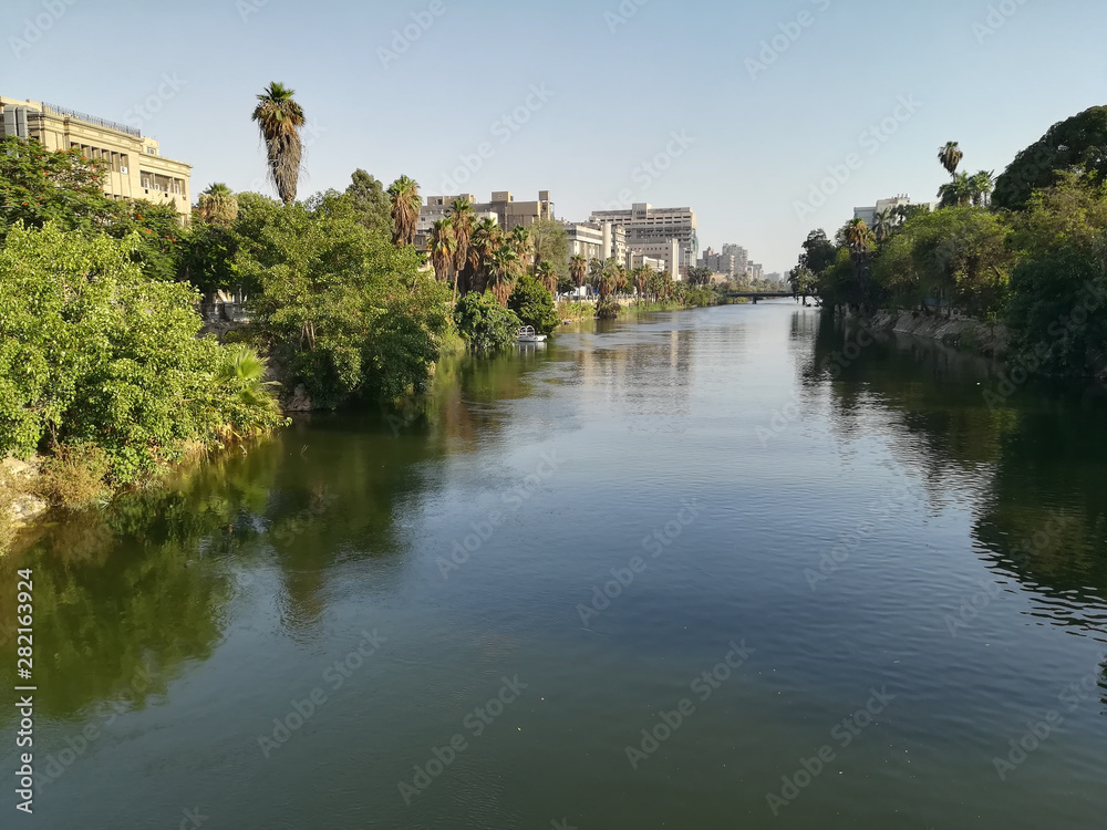 nile with trees