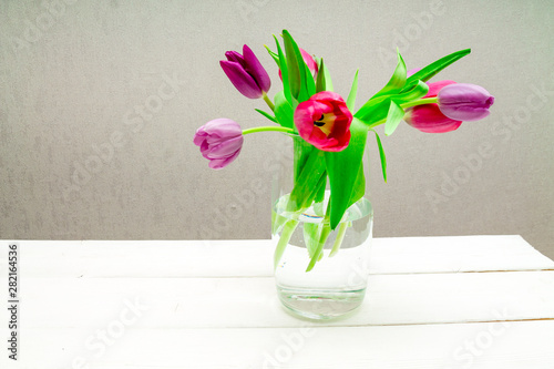 Copy space with beautiful pink and purple tulips with green leaves bouquet in a transparent glass vase on white wooden table on gray background