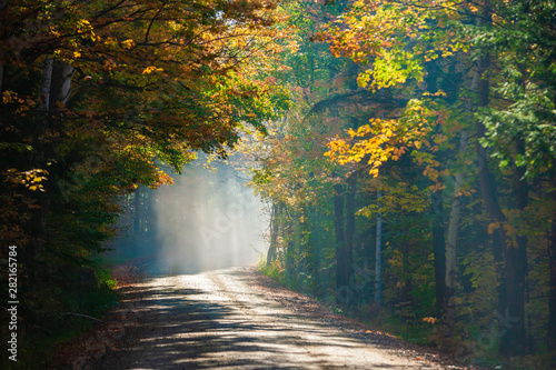Road through morning fog and autumn trees, Stowe Vermont, USA © Don Landwehrle