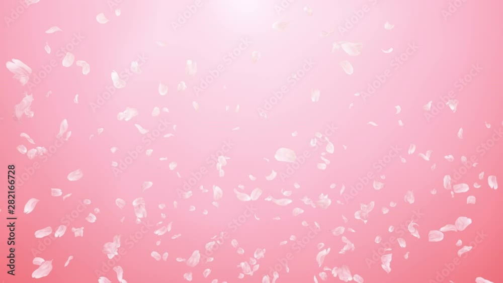 Cherry blossom petals dance in wind.