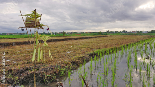 Bali offering for Dewi Sri as the goddess of rice and prosperity. photo