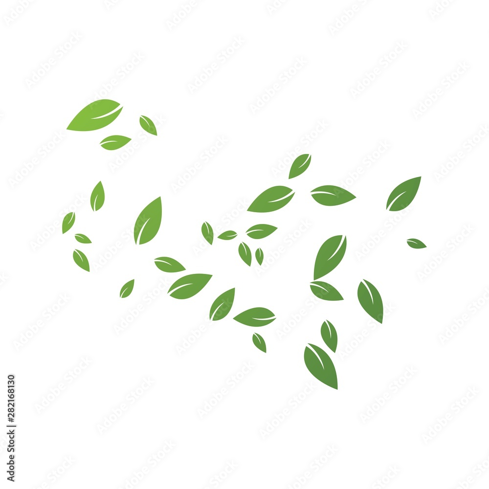 Green leaves background Green leaves background