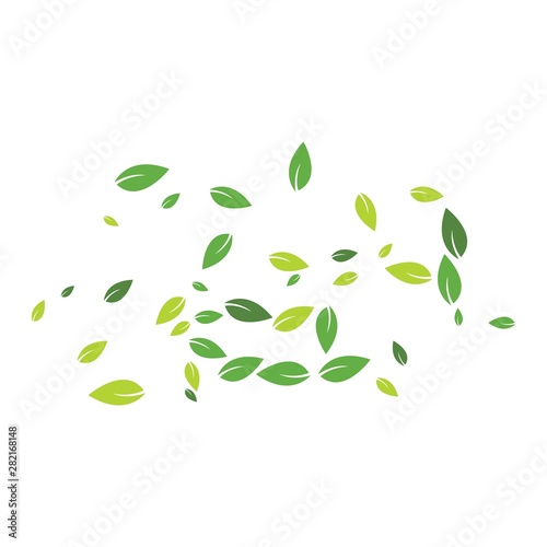 Green leaves background