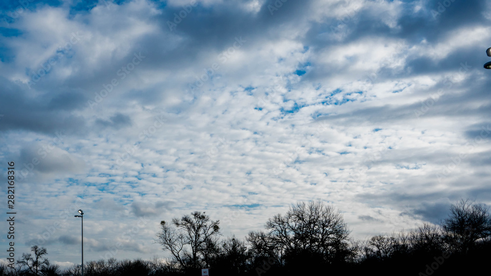 winter landscape with trees and clouds winter landscape with trees and clouds