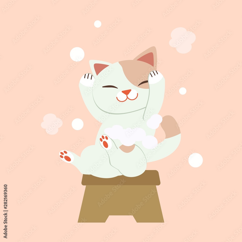 The character of cute cat washing hair .The cat smiling and it look so happy.the cat washing hair with a lot of bubble on the pink background. the character of cute cat in flat vector