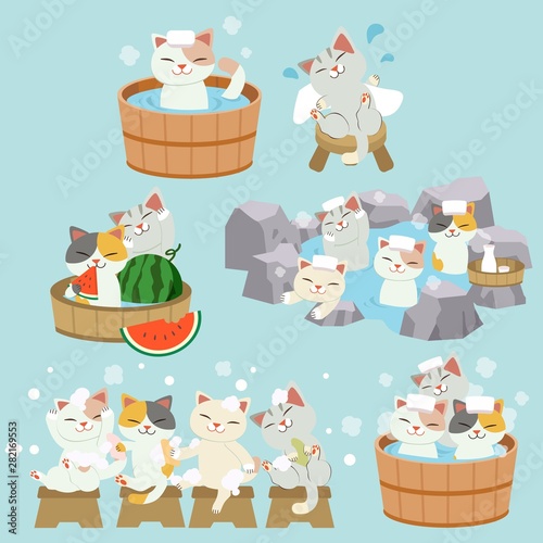 The collection of character of cute cat take a japanese hot spring bath. the cat taking an onsenan bath outdoor. cat Rub the body dry with white towel.the character of cute cat in flat vector.