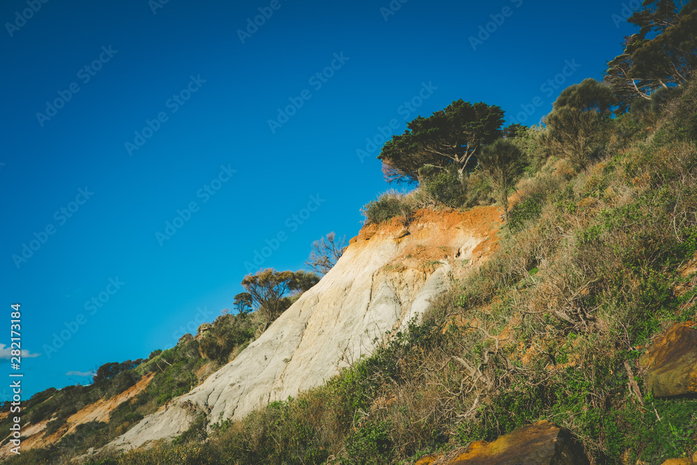 Eroding cliffs and native vegetation on Olivers Hill in Frankston, Victoria, Australia