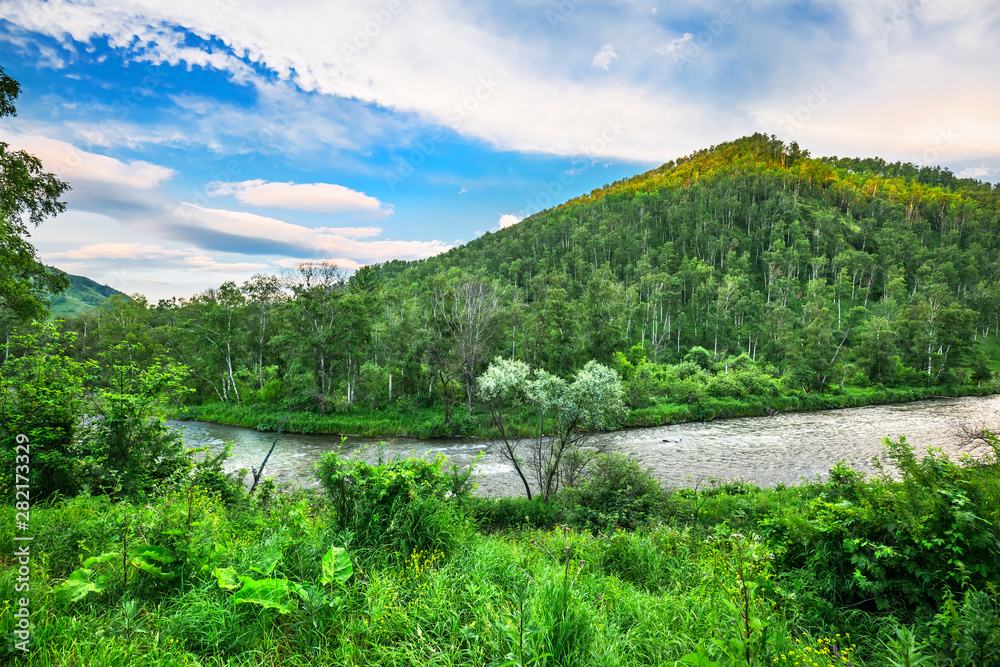 Fototapeta premium A River Sema. Altai Republic, Russia