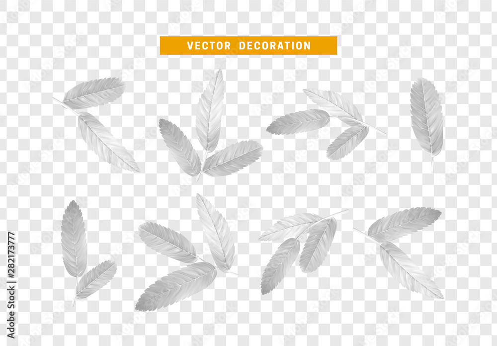 Fototapeta premium Leaves from the tree. set of realistic simple petals and leaves. Vector illustration