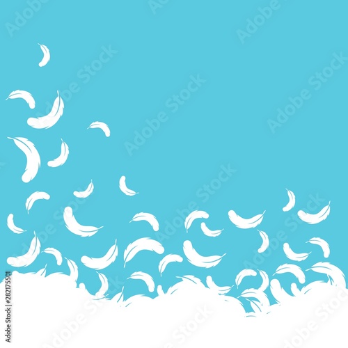 Feather background