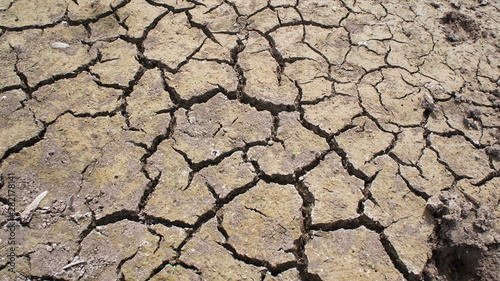 Soil lacking water, causing cracking