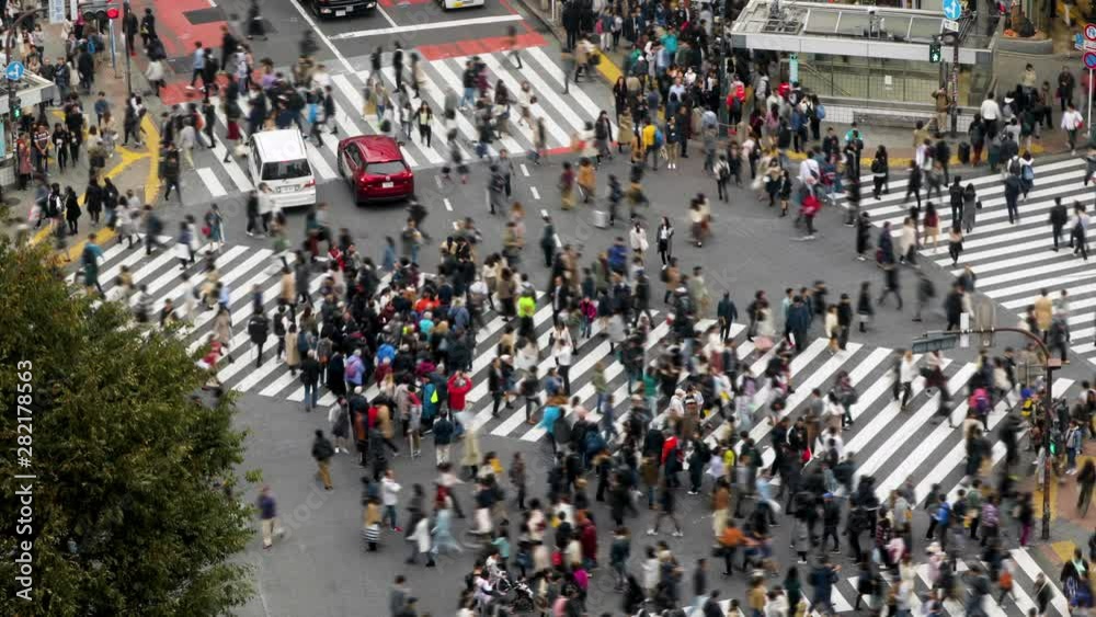 custom made wallpaper toronto digitalThousands of people walk across the famous Shibuya Crossing in Tokyo Japan