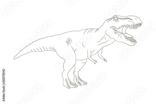 Tyrannosaurus rex or T rex dinosaur line art on white background. 