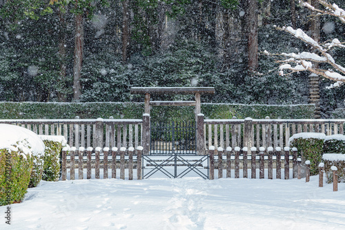 京都 大原 大原陵の雪景色