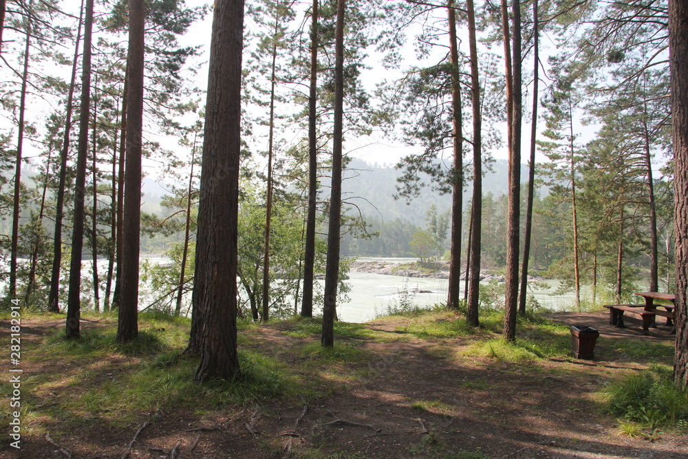 Fototapeta premium Nature