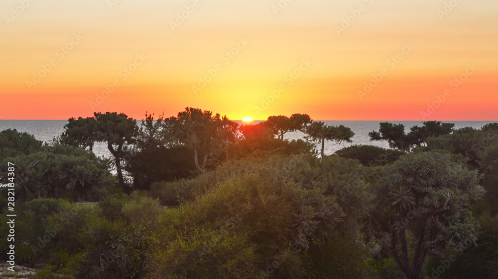 Setting sun with sky coloured orange and pink on tropical island, calm sea at distance, jungle forest in foreground