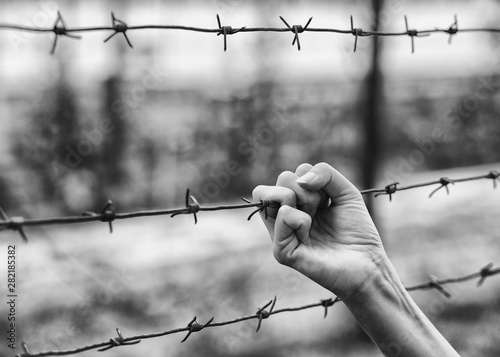 Female hand holding a barbed wire. Hand and barbed wire closeup.