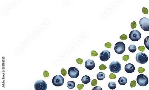 Beautiful fresh ripe blueberry with green leaft isolated on white background. 3d realistic blueberry with copy space for you text. Macro texture. Border design. Banner. Vector illustration
