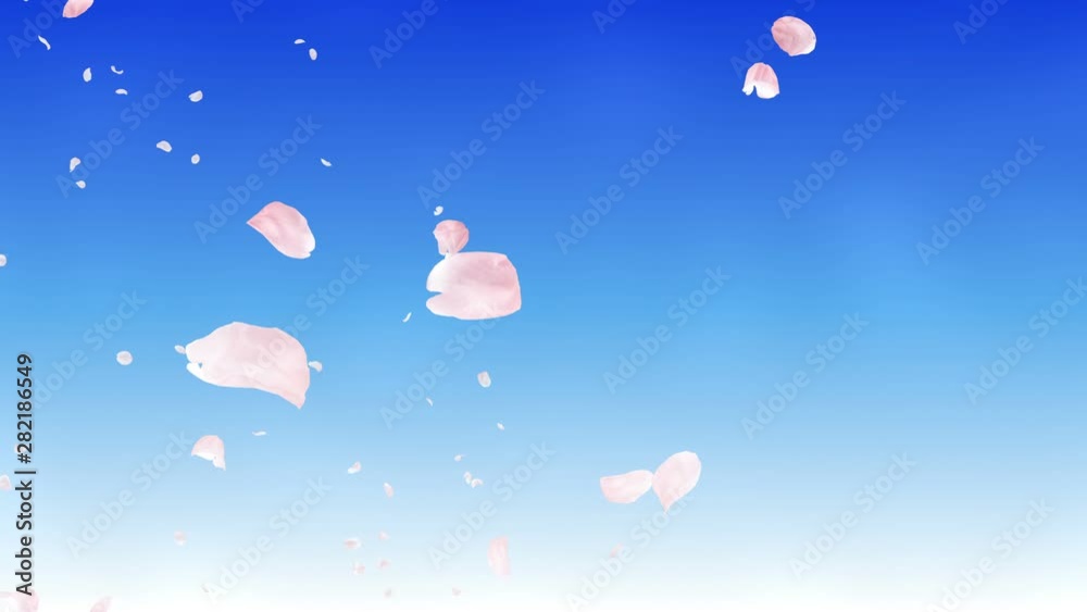 Cherry blossom petals dance in wind.