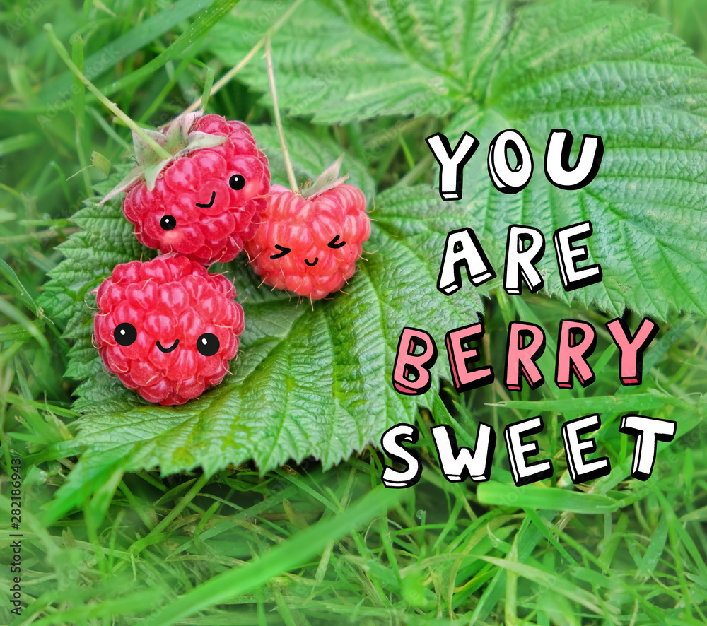 You are berry sweet - inspiration quote. Ripe raspberries on green natural background. raspberries berries with funny faces, cute cartoon character, kawaii style. harvest time, healthy fresh food