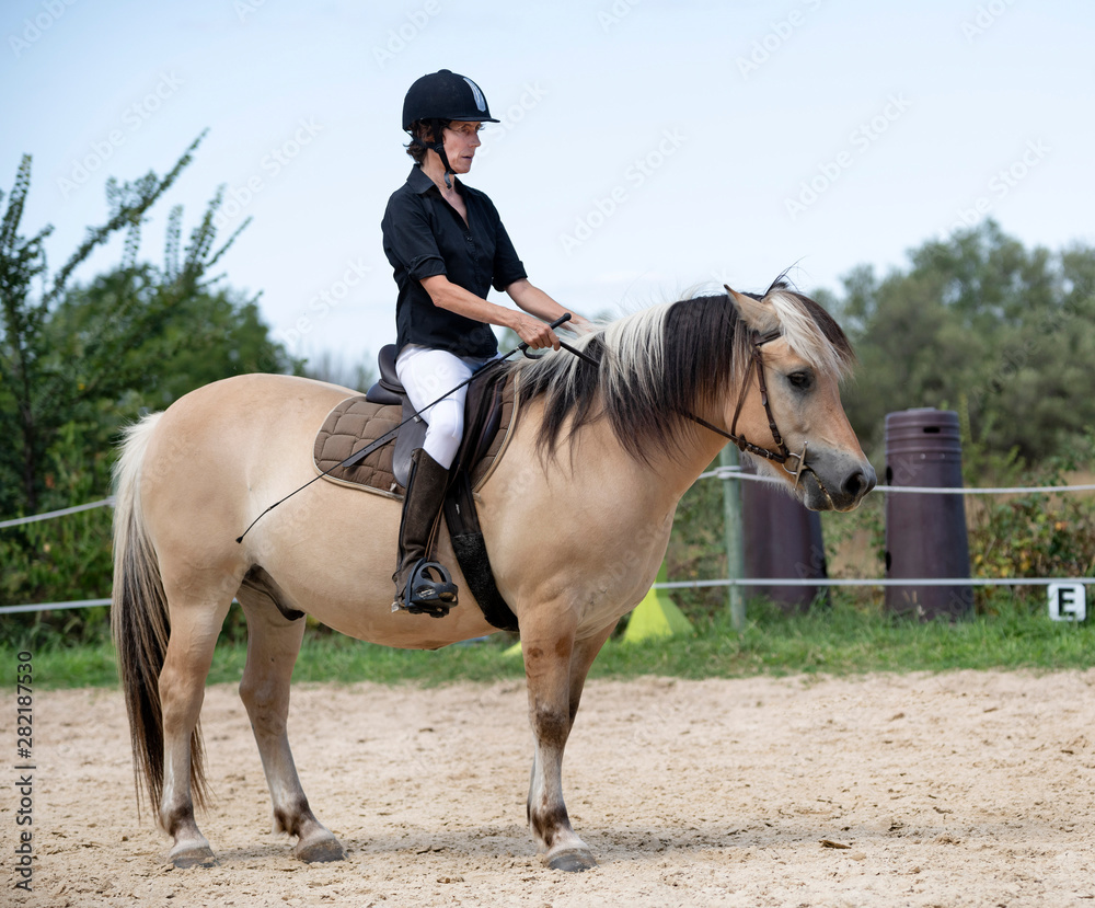 Obraz premium riding girl and horse