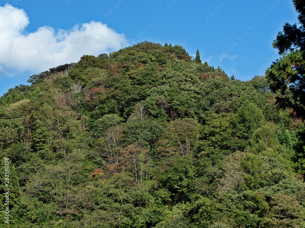 山 山