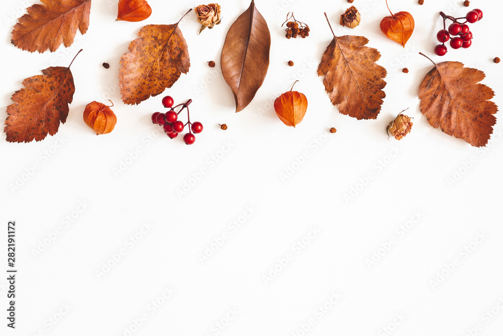 Fototapeta Jesienna kompozycja. Suszone liście, kwiaty, jagody jarzębiny na białym tle. Jesień, jesień, koncepcja Święto Dziękczynienia. Płaski układanie, widok z góry, kopia przestrzeń