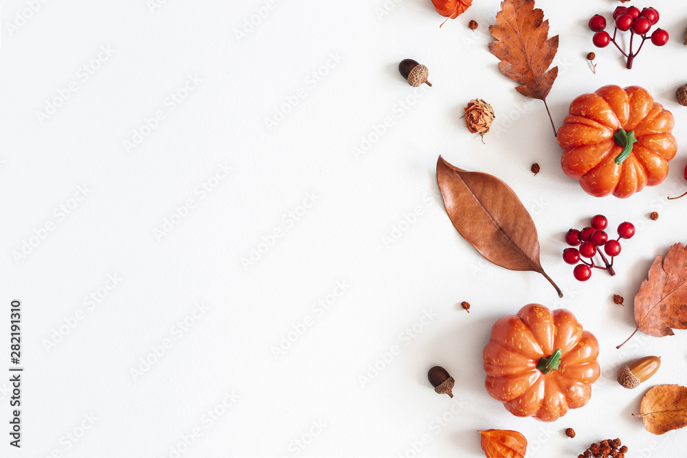 Fototapeta Jesienna kompozycja. Suszone liście, dynie, kwiaty, jagody jarzębiny na białym tle. Jesień, jesień, halloween, koncepcja Święto Dziękczynienia. Leżał płasko, widok z góry, miejsce