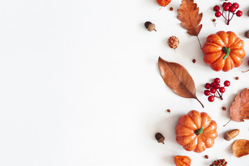 Autumn composition. Dried leaves, pumpkins, flowers, rowan berries on white background. Autumn, fall, halloween, thanksgiving day concept. Flat lay, top view, copy space