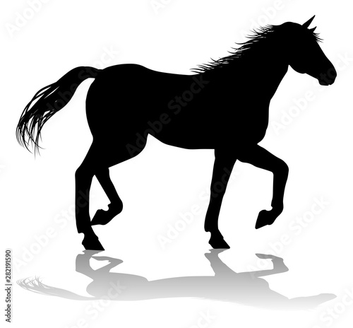 A horse animal detailed silhouette graphic