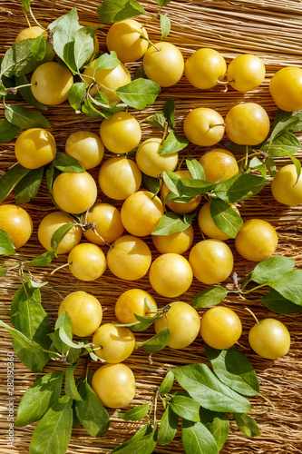 Ripe yellow plums close-up lie on the straw.